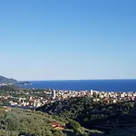 Degli Ulivi